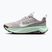 Moteriški bėgimo batai Nike Wildhorse 10 silver lilac/tattoo/barely green