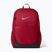 Kuprinė Nike Brasilia 24 l tough red/black/reflect silver