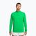 Vyriškas bėgimo džemperis Nike Stride 1/4 Zip Dri-Fit green spark