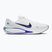Vyriški bėgimo batai Nike Journey Run white/grey mist/racer blue/midnight navy
