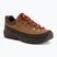 Vyriški žygio batai Columbia Newton Alpine Low grizzly bear/red oxide