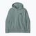 Vyriškas džemperis Patagonia Daily Hoody blue sage