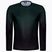 Vyriški ASSOS Trail marškinėliai T3 schwarzwald/green Cycling longsleeve