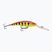 Vobleris Rapala Deep Tail Dancer hot tiger