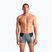 Vyriškos plaukimo trumpikės arena Stripe Swim Short sage/black/multi