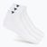 Kojinės Tecnifibre Low-Cut 3 pairs white/marine