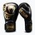 Bokso pirštinės Venum Giant 2.0 Mike Tyson Pro Boxing black/gold