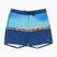 Vyriški maudymosi šortai Quiksilver Everyday Half Jam 16" nebulas blue wordblock
