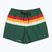 Vyriški maudymosi šortai Quiksilver Everyday Printed Volley 15" forest outside stripe