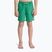 Vaikiški maudymosi šortai Quiksilver Everyday Volley 14" leprechaun