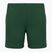 Vyriški teniso šortai Lacoste GH0138 green