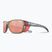 Akiniai nuo saulės Julbo Camino M Spectron shiny translucent gray