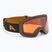 Slidinėjimo akiniai Alpina Ladis Q black/ gold matt/ gold
