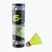 Talbot-Torro Tech 450 badmintono raketės, Premium Nylon 6 vnt., geltonos spalvos 469083