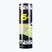 Talbot-Torro Tech 450 badmintono raketės, Premium Nylon 6 vnt., geltonos spalvos 469183