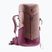 Turistinė kuprinė deuter Telatie 24 l SL ashrose/cassis