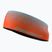 Lankelis galvai Dynafit Graphic Performance Headband alabama/3160 gradient