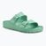 Šlepetės BIRKENSTOCK Arizona EVA Narrow bold jade