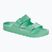 BIRKENSTOCK Arizona EVA Regular šlepetės bold jade