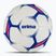 Rankinio kamuolys ERIMA Flash Training white/blue dydis 1