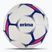 Rankinio kamuolys ERIMA Flash Training white/blue dydis 2