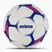 Rankinio kamuolys ERIMA Flash Training white/blue dydis 3