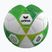 Futbolo kamuolys vaikams Erima Hybrid Lite 290 size 5 green gecko/lime