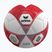 Futbolo kamuolys ERIMA Hybrid Training 2.0 size 5 red/silver