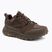 Vyriški žygio batai Jack Wolfskin Terraquest Texapore Low gecko bear