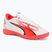 Vyriški futbolo bateliai PUMA Ultra Play FG/AG puma white/puma black/fire orchid