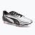 Vyriški futbolo bateliai PUMA King Pro FG/AG puma silver/puma black/sun struck/puma white