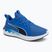 Bėgimo batai PUMA Softride Carson vivid blue/puma navy