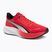 Bėgimo batai PUMA Pounce Lite for all time red/puma white