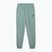 Vyriški šortai PUMA ESS No. 1 Logo Sweatpants TR CL green moon