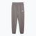 Vyriški šortai PUMA ESS No. 1 Logo Sweatpants TR CL cast iron