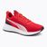 Bėgimo batai PUMA Flyer Lite 3 puma black/for all time red