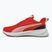 Bėgimo batai PUMA Flyer Lite 3 puma black/for all time red