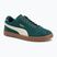 Vyriški batai PUMA Club II Era Suede dark myrtle/alpine snow/gum