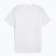 Vyriški bėgimo marškinėliai PUMA Run Velocity Tee Poly puma white