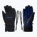 Vyrų slidinėjimo pirštinės ZIENER Garim As cobalt blue