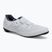 Vyriški plento batai Shimano SH-RC302 white