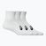 Kojinės ASICS Quarter 3 pairs brilliant white