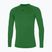 Vyriški bėgimo marškinėliai su ilgomis rankovėmis  Mizuno Core Underwear green/black