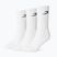 Vyriškos kojinės Boxraw Crew 3 szt. White