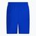 Vyriški "Nike Essential 5" Volley" maudymosi šortai mėlyni NESSA560-494