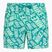 Vyriški maudymosi šortai Nike Tossed 5" Volley vapor green