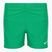 Vaikiški maudymosi šortai Nike Essential 4" Volley stadium green