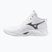 Tinklinio bateliai Mizuno Wave Momentum Pro Mid white/metallic gray/black