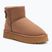 Moteriški sniego batai O'Neill Besiana Platform Mid warm taupe