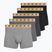 Vyriškos trumpikės CR7 Basic Trunk 5 pack multicolour